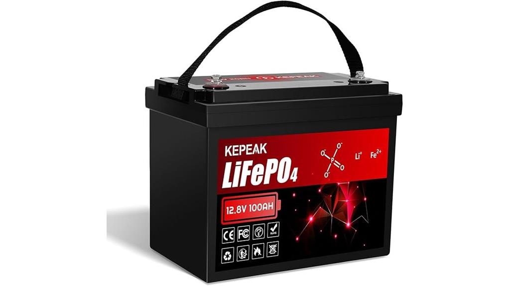 12 8v 100ah lifepo4