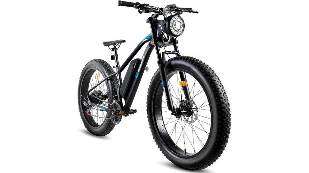 adult fat tire ebike