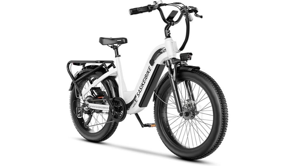 powerful 1500w electric bike