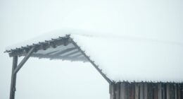 resilient whiteout shade construction