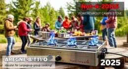 top group camping stove options
