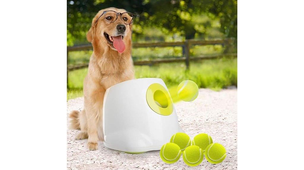 automatic dog ball launcher