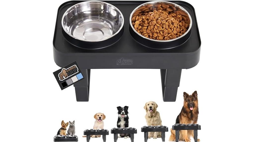 elevated dog bowls