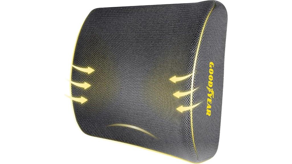 ergonomic lumbar cushion versatile