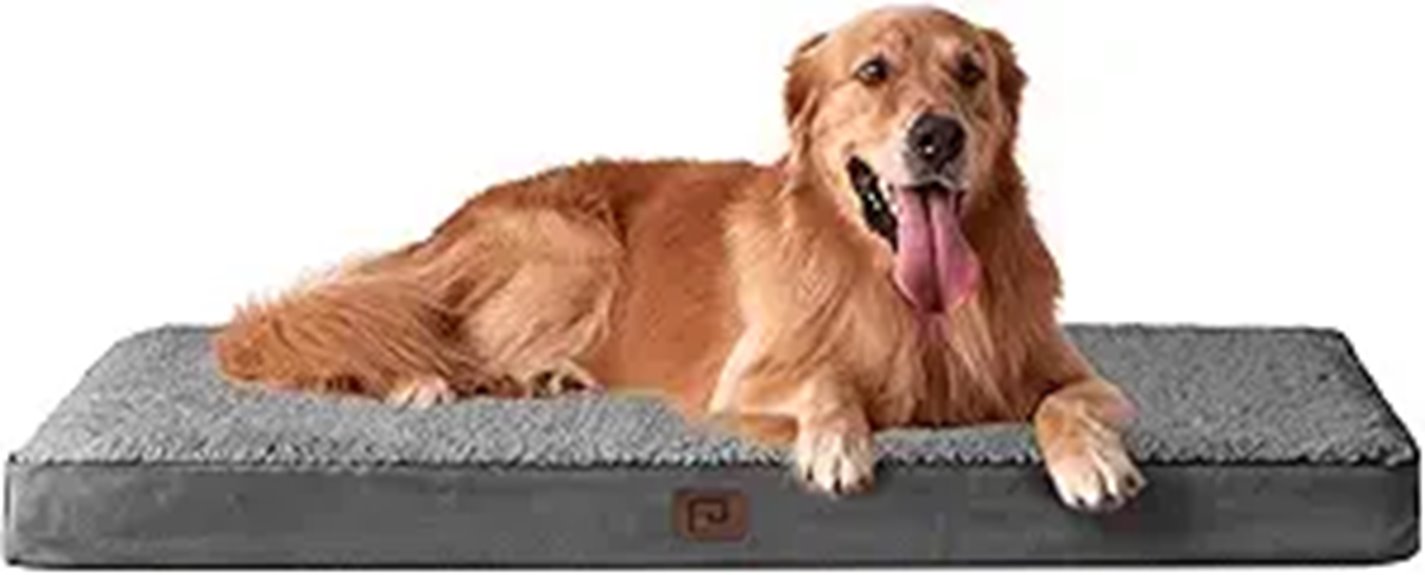 large orthopedic dog bed