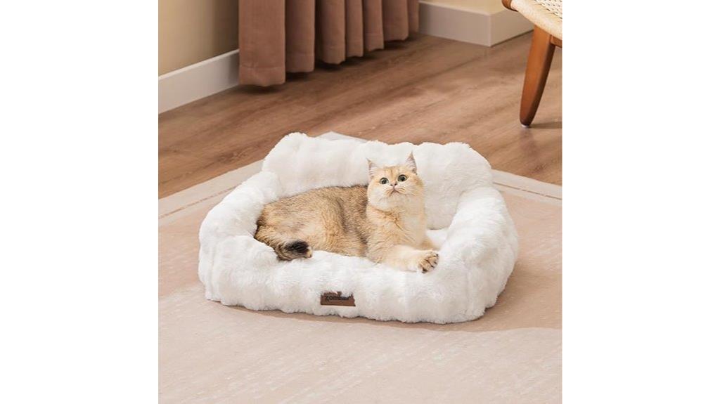 orthopedic cat bed