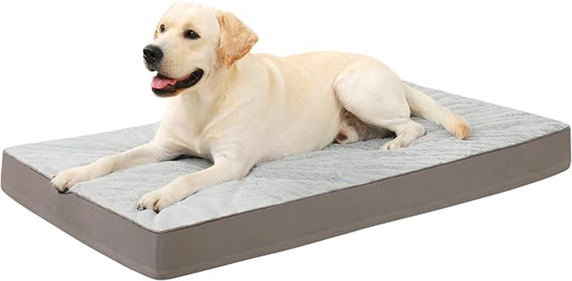 orthopedic dog bed with cover