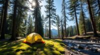 selecting quiet accessible campsites