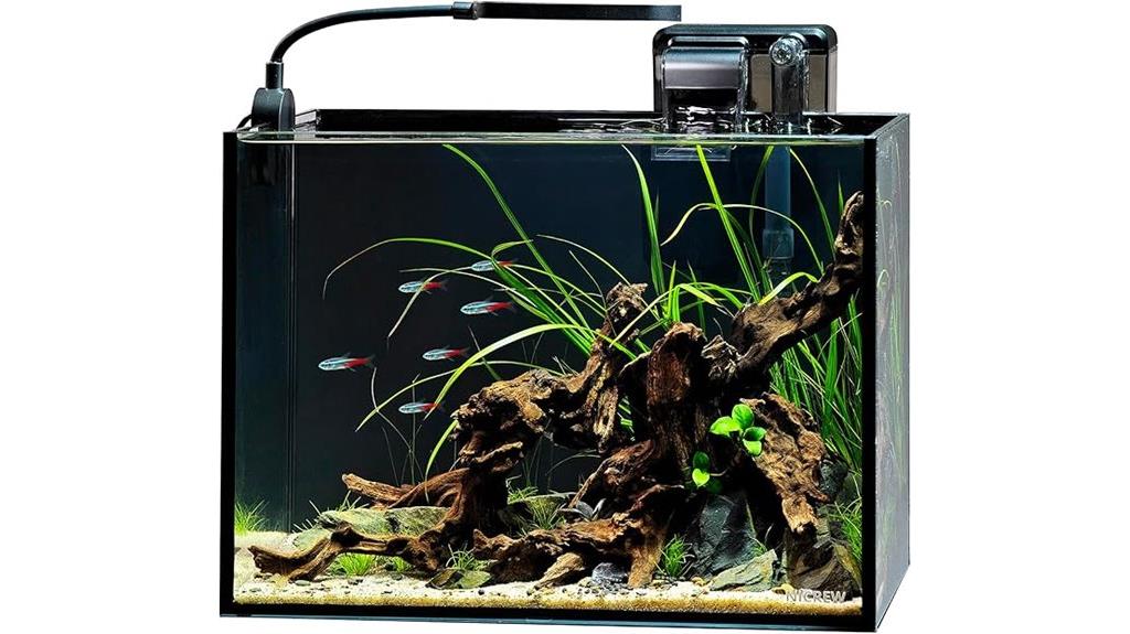 small aquarium with accessories