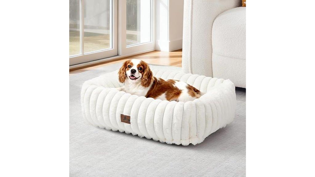 small medium orthopedic bed