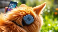 top lte pet trackers