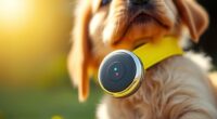 top pet gps trackers