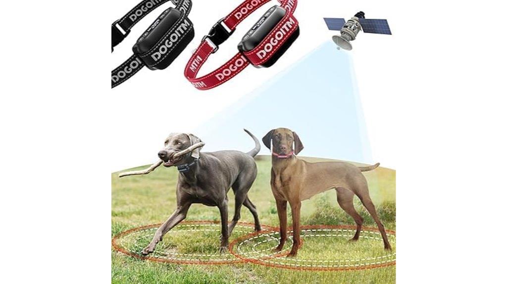 wireless fence for two