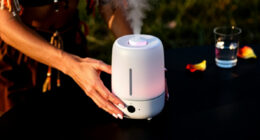10 Best Portable Humidifier for Dry Festival Air in 2026