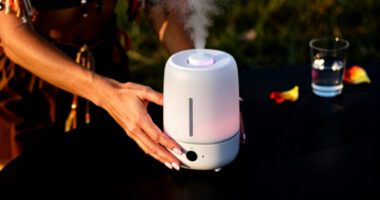 10 Best Portable Humidifier for Dry Festival Air in 2026