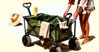 14 Best Beach Cart for Desert Festival Camps in 2026