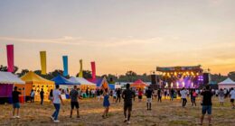 festival daylong video coverage