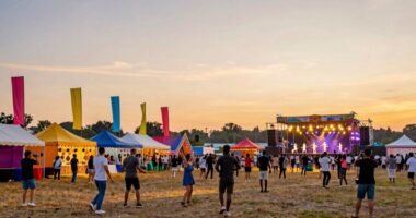 festival daylong video coverage