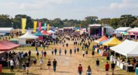 festival expansion impacts crowds