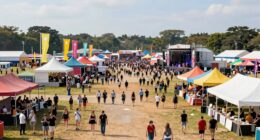 festival expansion impacts crowds