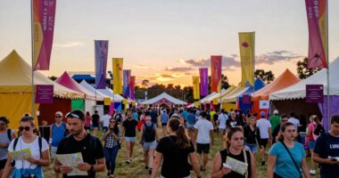 festival guide for beginners