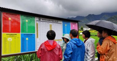 festival safety weather alerts