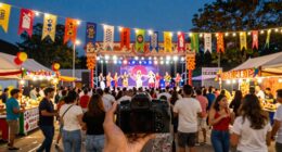 festival walkthrough video tips