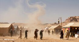 pack sturdy sun protection