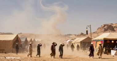 pack sturdy sun protection