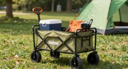 selecting the right festival wagon