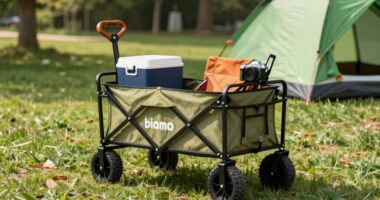 selecting the right festival wagon