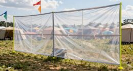 selecting windy festival shade