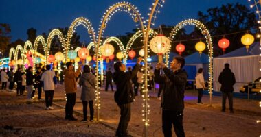 setting up festival lighting