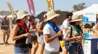 water conservation festival tips