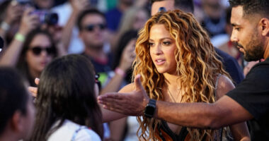 Shakira Intervenes to Prevent Fan from Confrontation During Concert