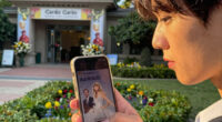 N.Y.P.D. Memo Outlines Taylor Swift Wedding Events at the Garden