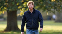 Prince Harry, Duke Of Sussex