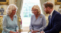 Queen Camilla “Dropped Everything” to Be Part of King Charles and Prince Harry’s Reunion