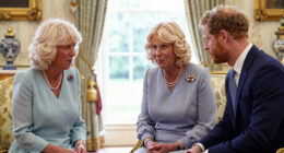 Queen Camilla “Dropped Everything” to Be Part of King Charles and Prince Harry’s Reunion